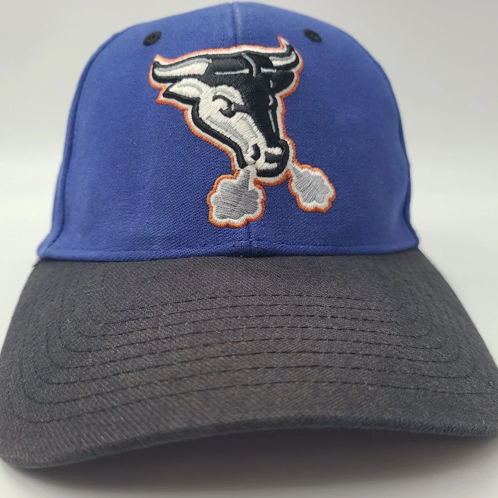 Vintage Durham Bulls Hat Fitted (Seems M-L) Twins Enterprise Blue Black MiLB Men